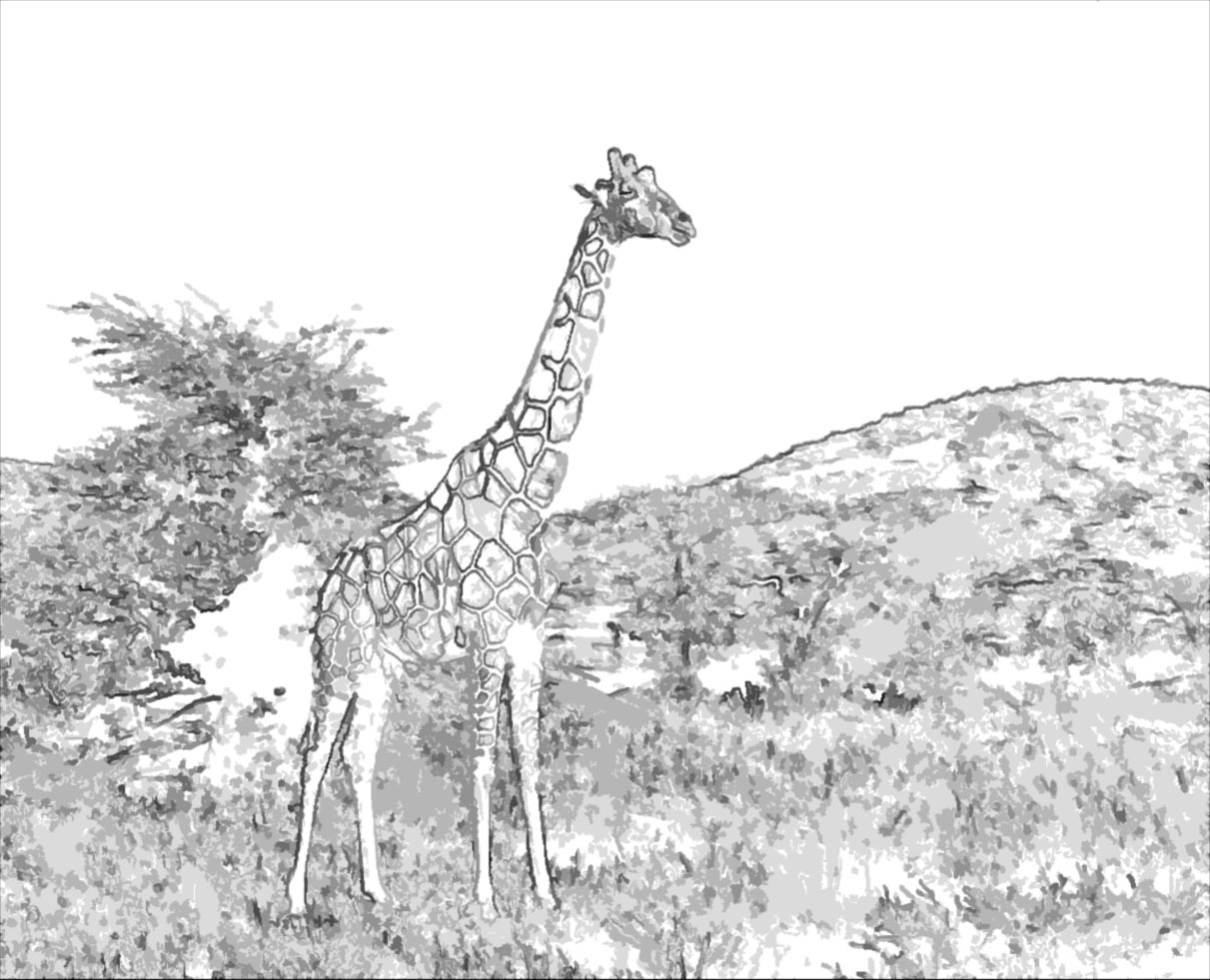 Girafa_001